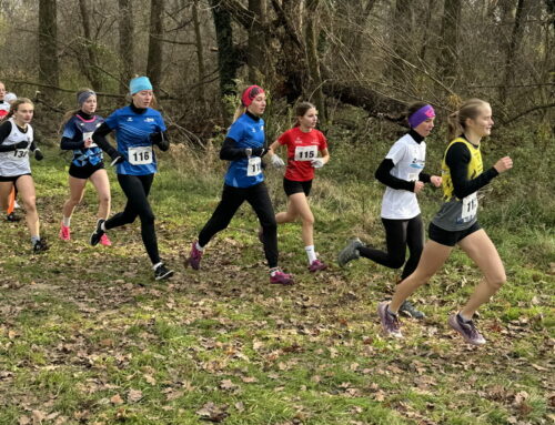 ÖM Cross in Tulln